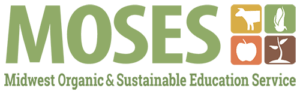 MOSES-logo-transparent-back-3-300x94
