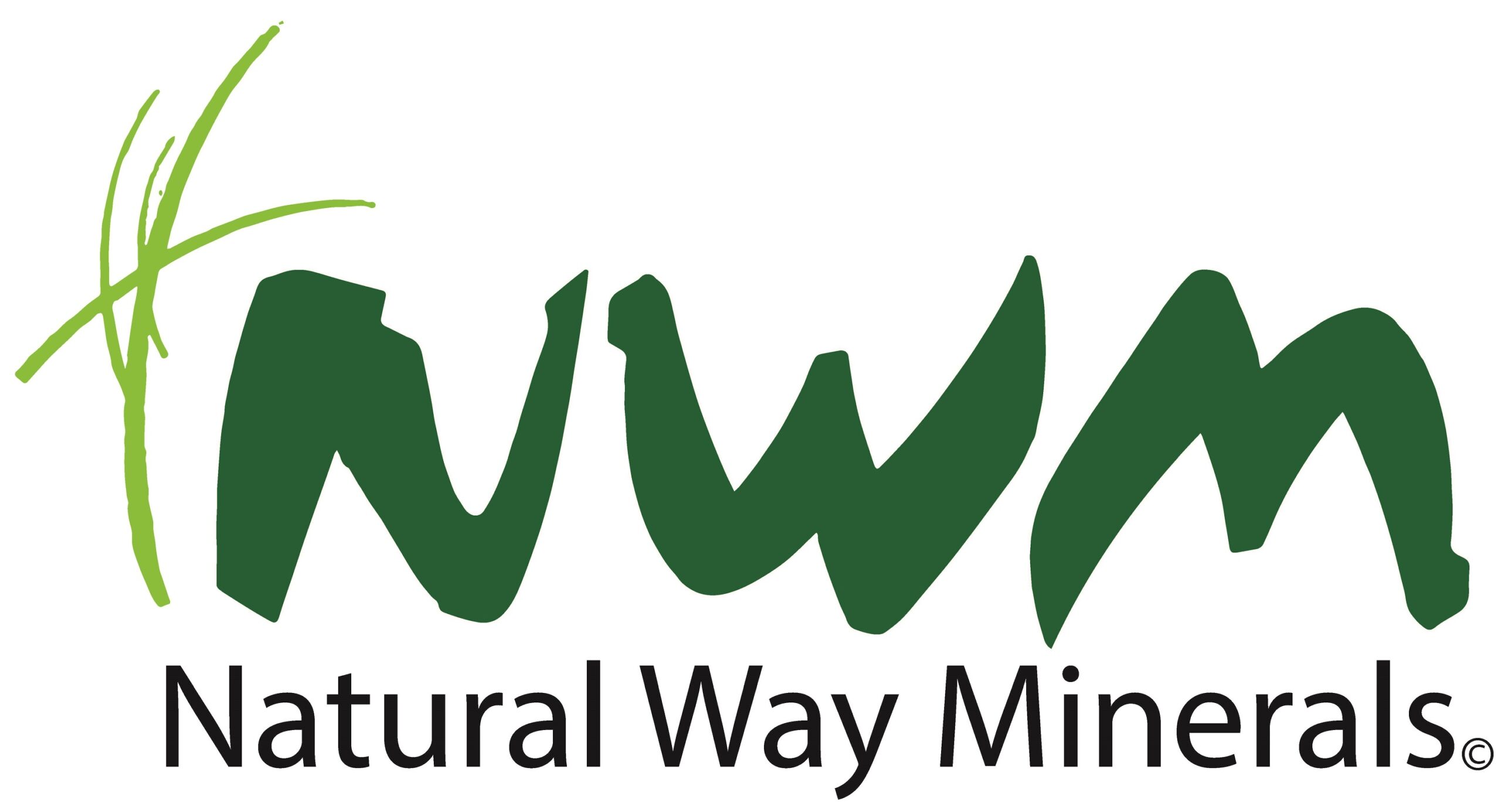 NWM-Logo
