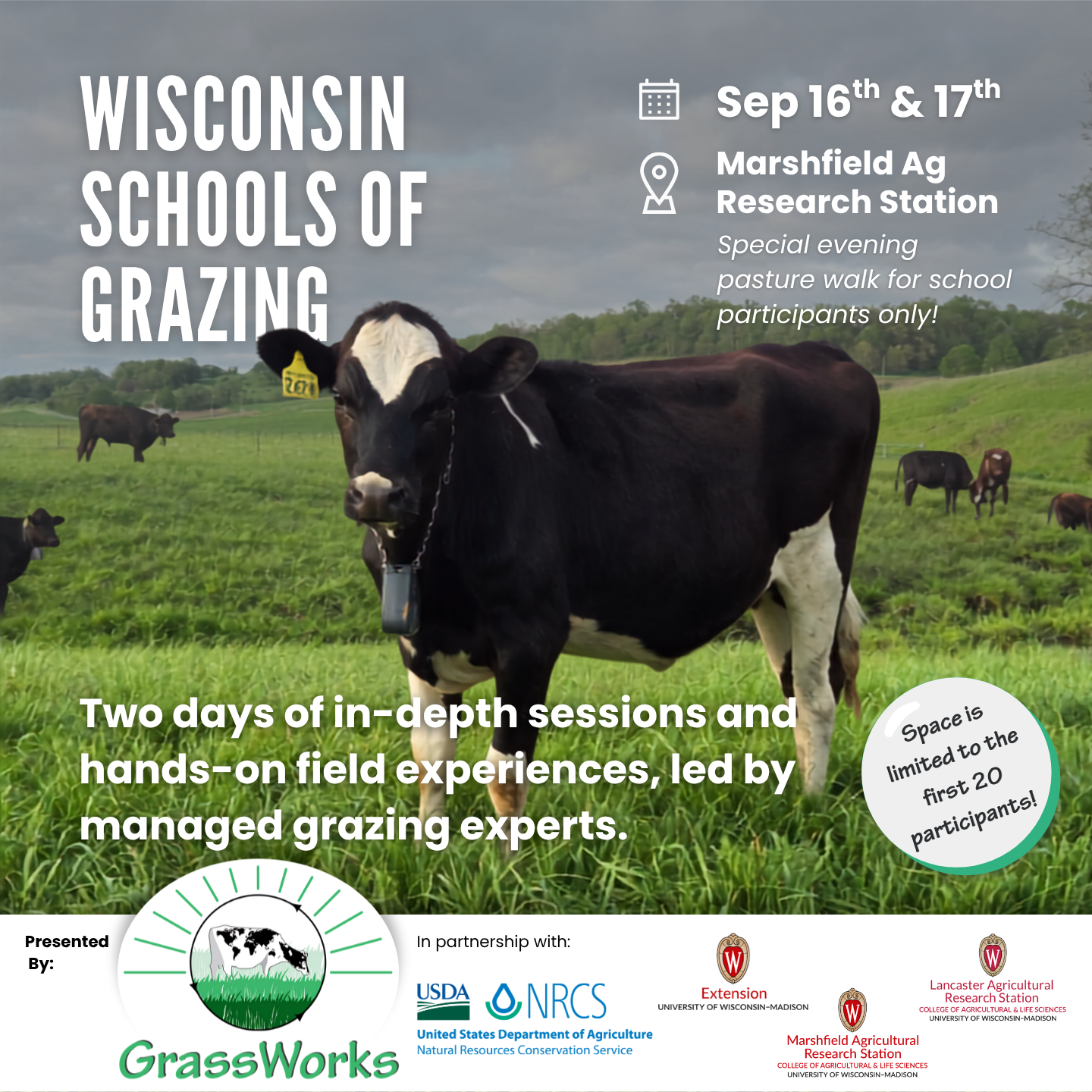 2026 Marshfeild Grazing School