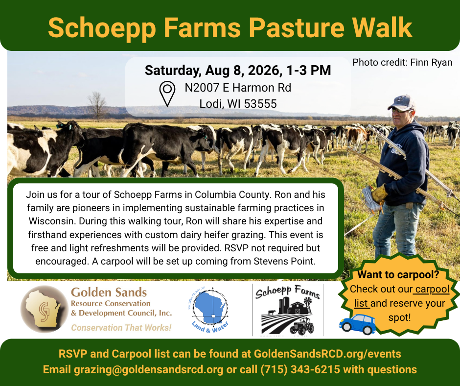 Golden sands pasture walk 8.26