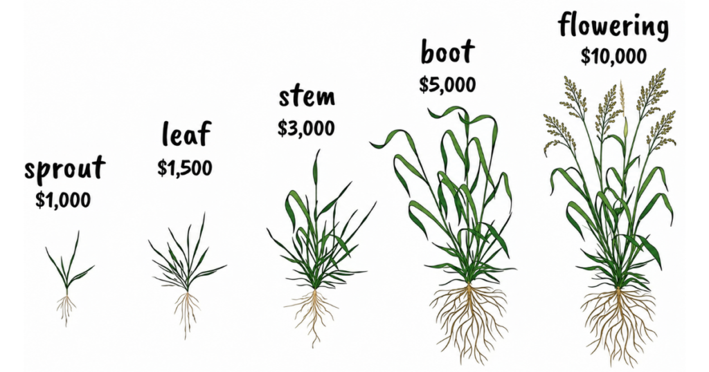 27 grazing conference sponsorship levels