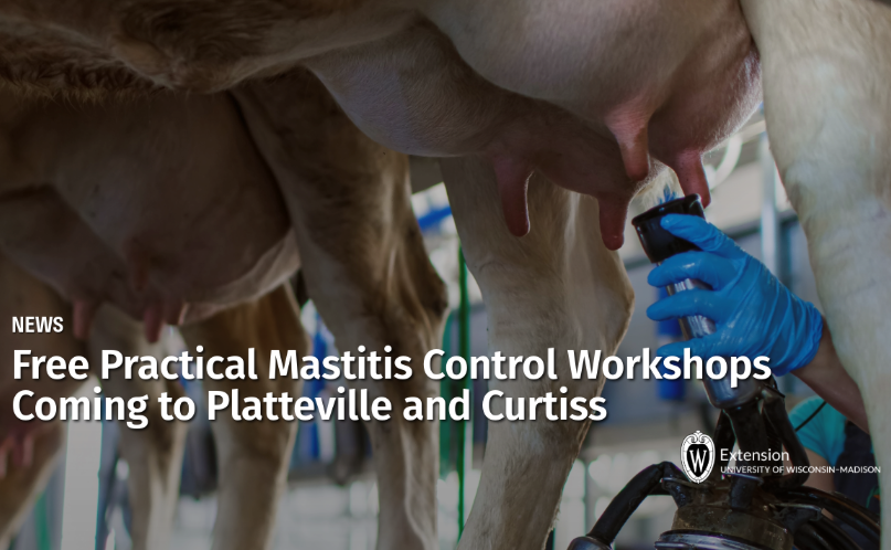 fall 26 mastitis workshop